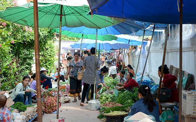 morning market (1)