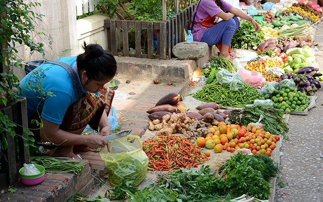 morning market (3)