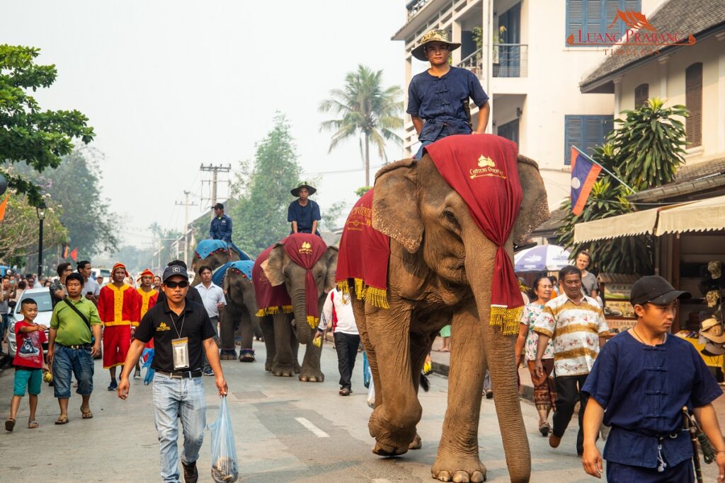 Lao New Year (12)